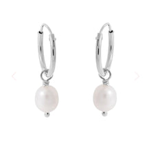 Load image into Gallery viewer, Delicate Pearl Sleepers
