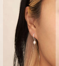 Load image into Gallery viewer, Delicate Pearl Sleepers
