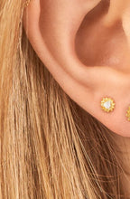 Load image into Gallery viewer, Two Tone Sunflower Studs
